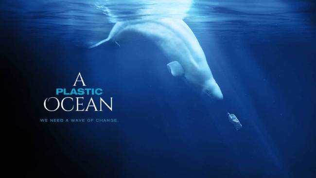 Học tiếng Anh qua bộ phim A Plastic Ocean