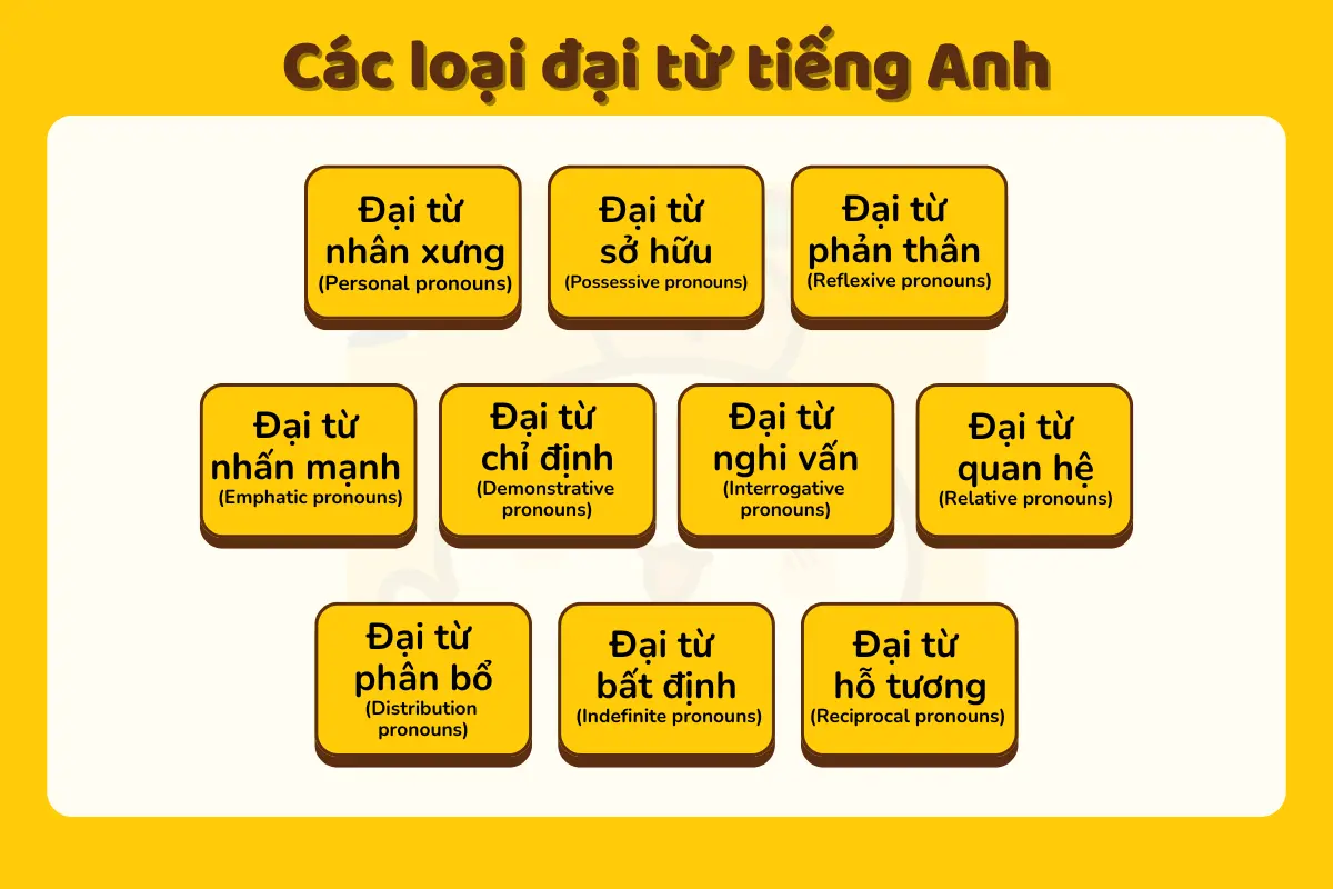 các loại đại từ tiếng anh