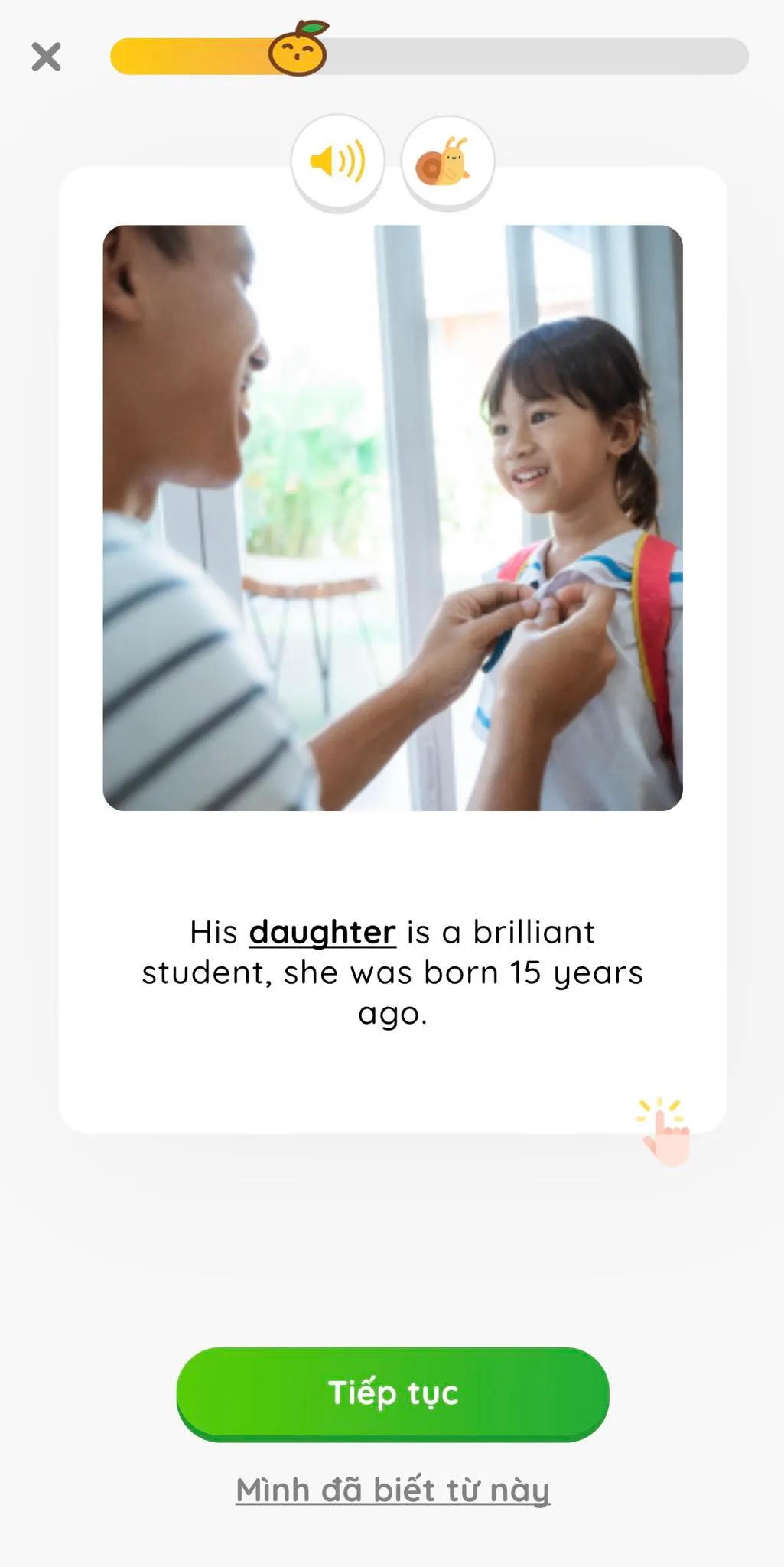 flashcard chủ đề family