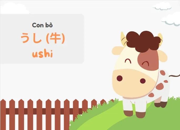 Từ vựng ushi tiếng Nhật 
và hình ảnh con bò
