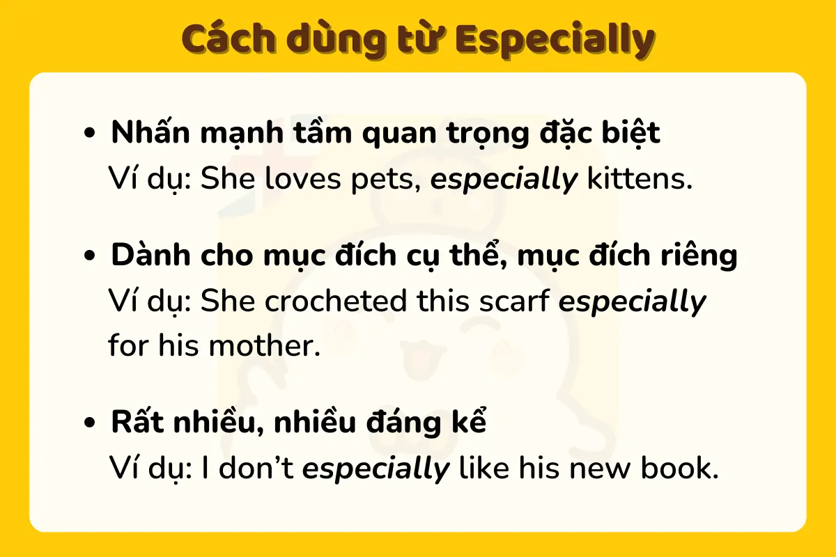 cách dùng especially