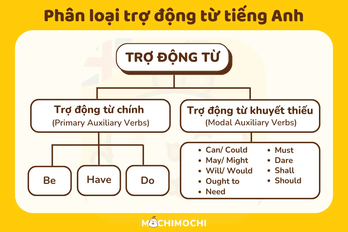 phân loại trợ động từ tiếng anh