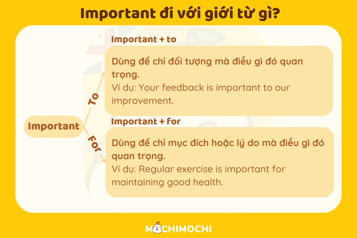 important đi với giới từ gì