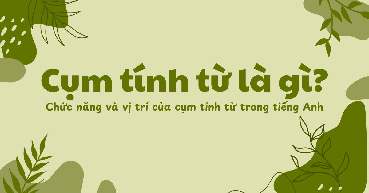 Cụm tính từ là gì? Chức năng và vị trí của cụm tính từ trong tiếng Anh