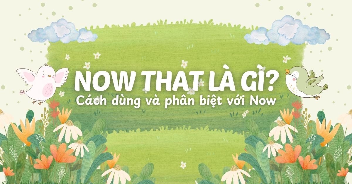 Now that là gì? Cách dùng và phân biệt với Now