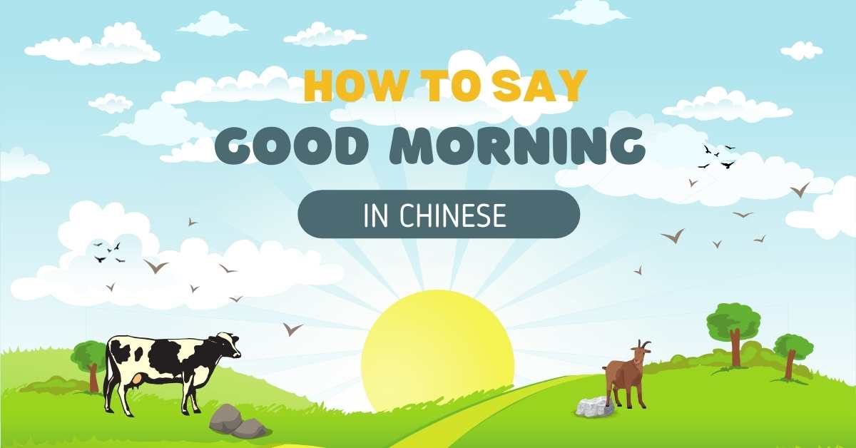 How to say Good Moring in Chinese?