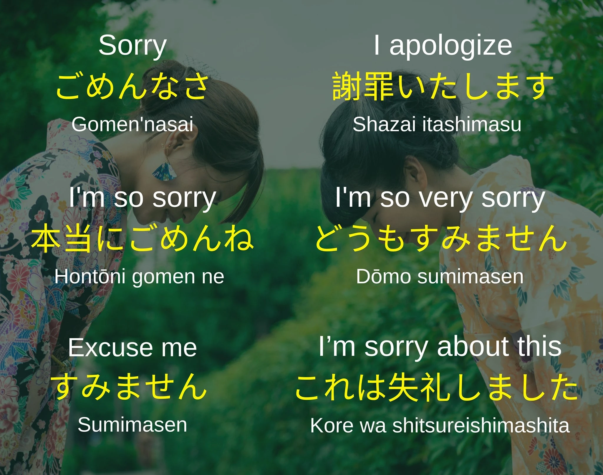 Excuse me in Japanese