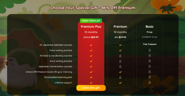 MochiKana pricing & package
